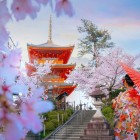 Una giovane giapponese in kimono tradizionale davanti al tempio Kiyomizu-dera di Kyoto incarna l’eleganza e la cultura nipponica, tra architetture antiche e paesaggi suggestivi.