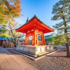 Sanjusangen-do, tempio buddista fondato nel 1164, ospita la Kannon dalle Mille Braccia, una scultura del XIII secolo nota anche come salone del Re di Loto.