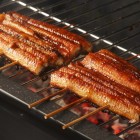 L’unagi, anguilla morbida e saporita, viene spesso grigliata con la tecnica tradizionale del kabayaki, che ne esalta il gusto intenso rendendola una vera prelibatezza giapponese.