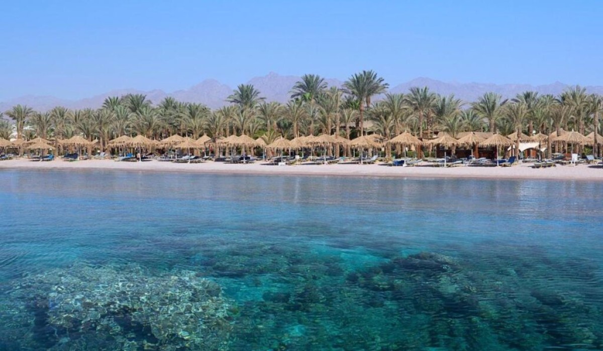 JAZ Sharm Dreams - Immagine 4