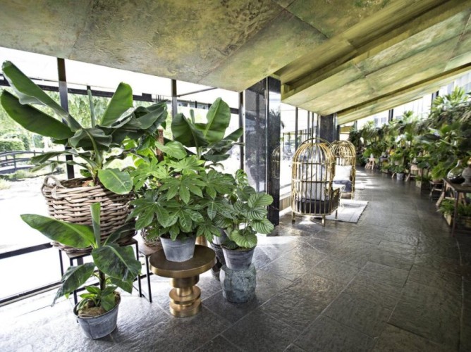 Apollo Hotel Amsterdam, a Tribute Portfolio Hotel - Immagine 9