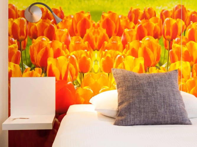 ibis Styles Amsterdam City - Immagine 10