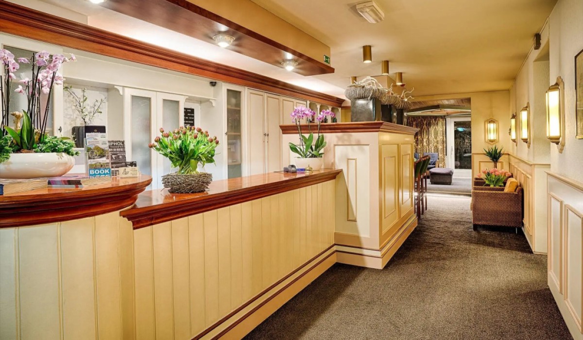 Owl Hotel - Immagine 2