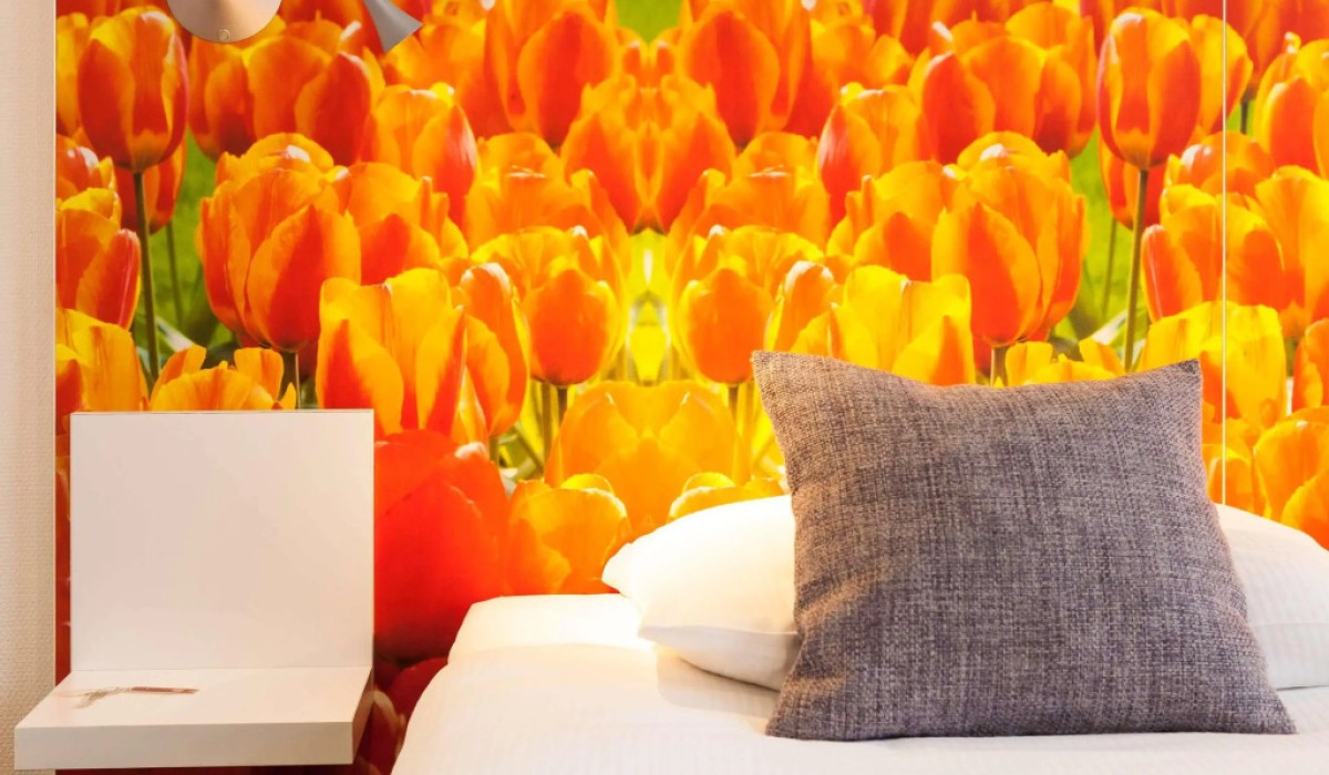 ibis Styles Amsterdam City - Immagine 10