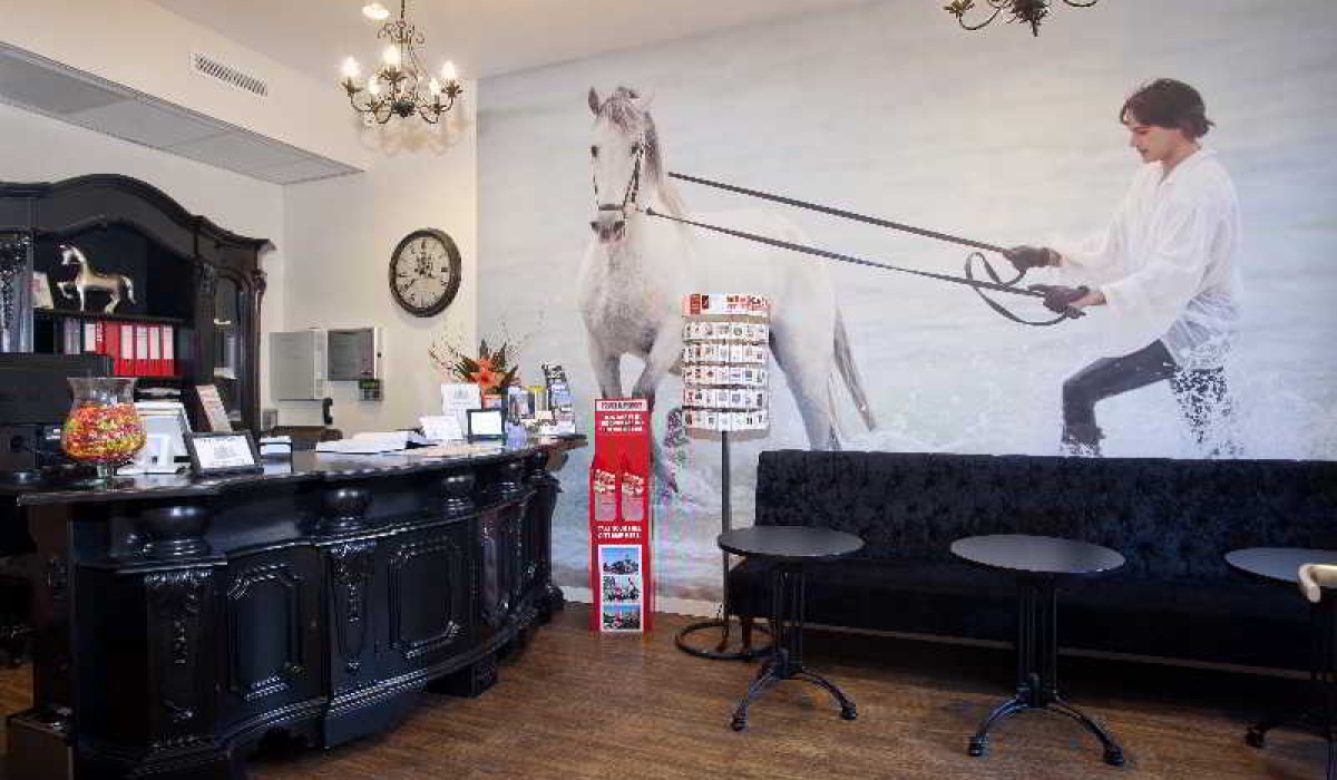 Hotel Iron Horse - Immagine 2