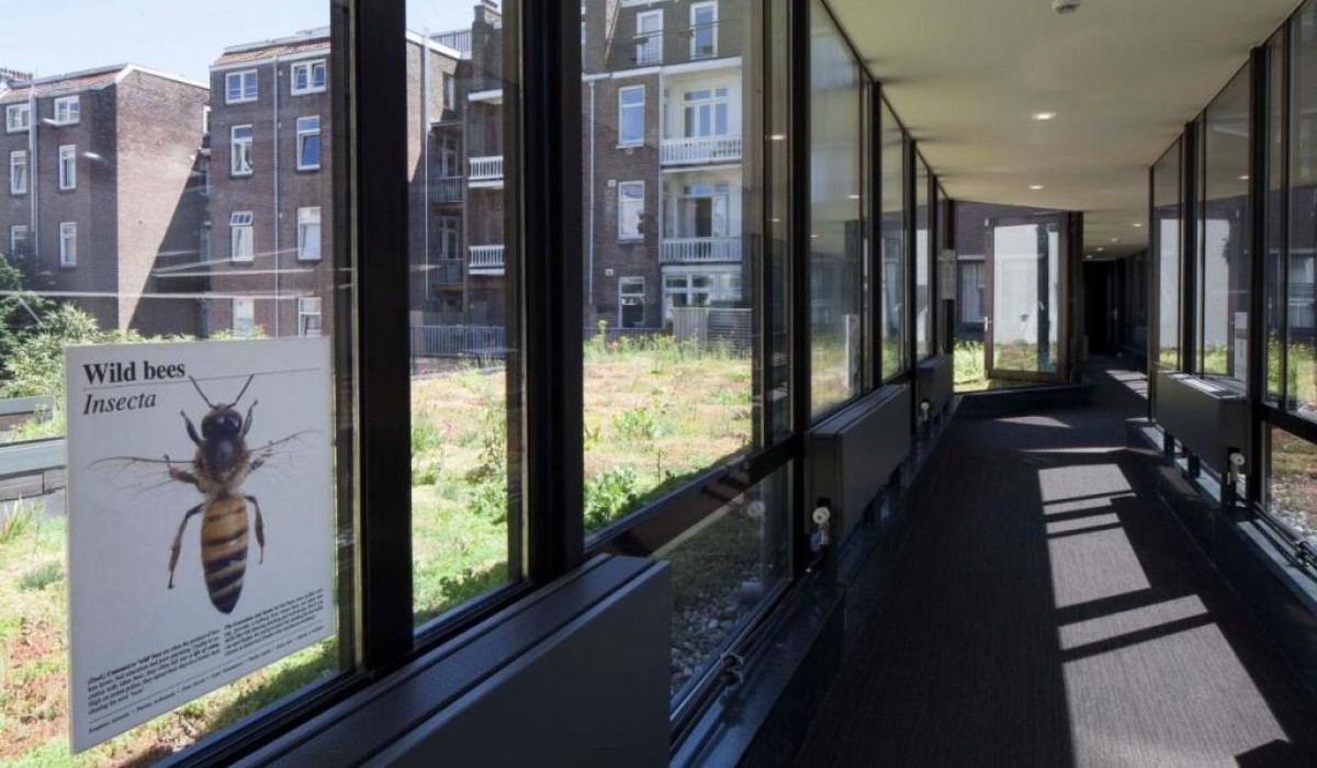 Conscious Hotel Vondelpark - Immagine 7