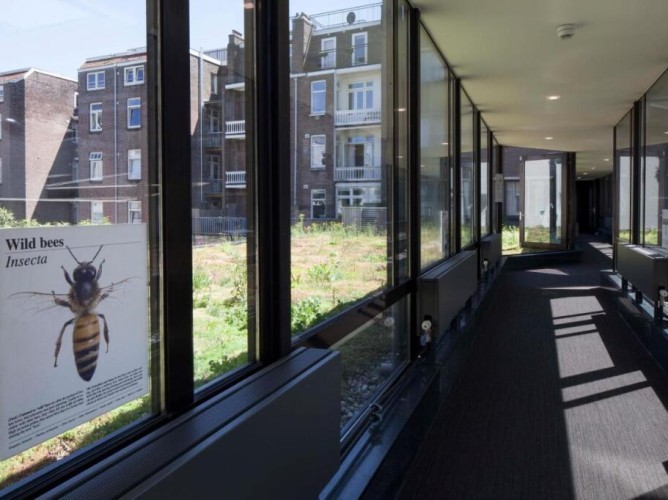 Conscious Hotel Vondelpark - Immagine 7