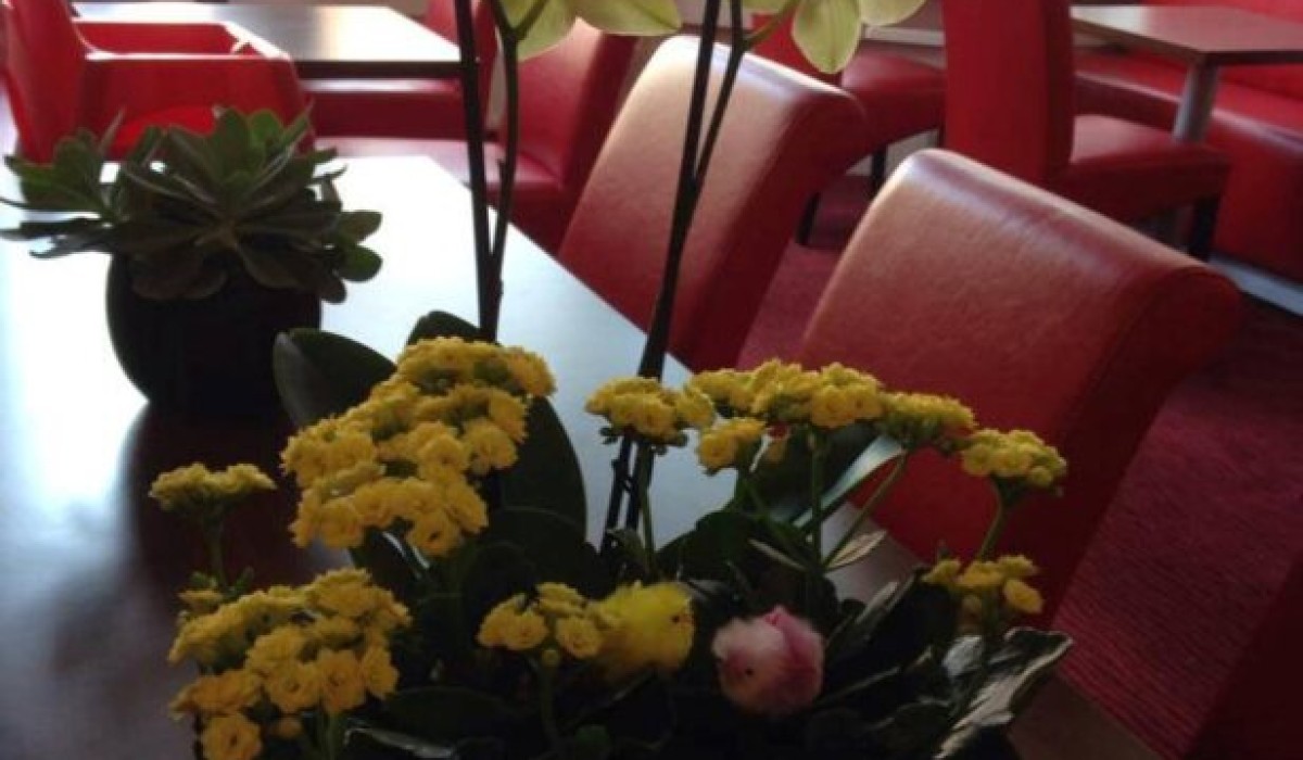 Hotel Allure - Immagine 2