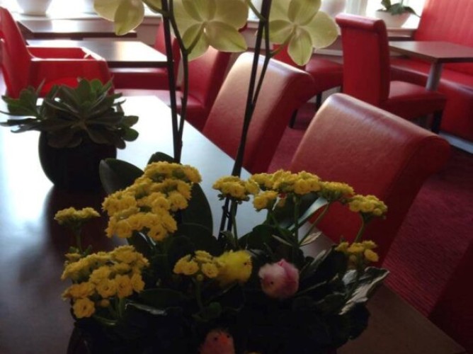 Hotel Allure - Immagine 2