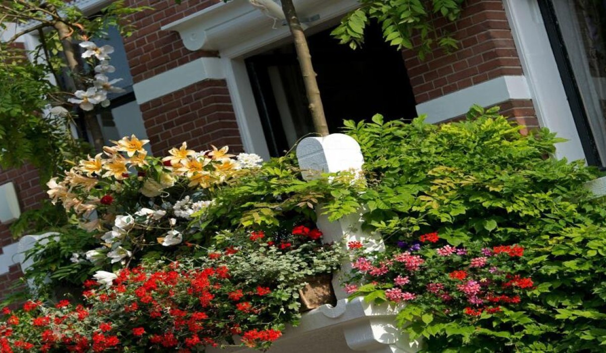 Breitner House - Immagine 8