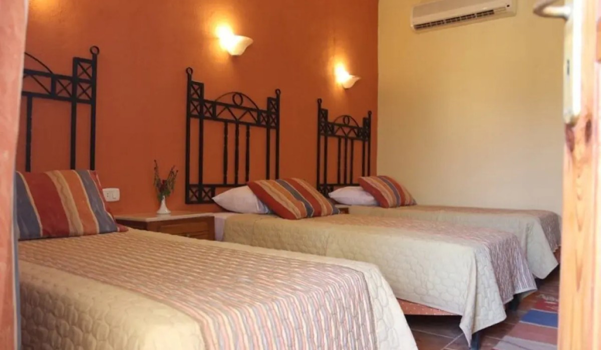 Bliss Marina Beach Resort All Inclusive - Immagine 4