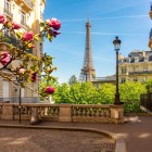 Una piazzola con lampioni classici parigini incornicia la Torre Eiffel sullo sfondo, unendo il fascino senza tempo dei dettagli urbani alla maestosità del simbolo di Parigi.