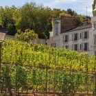 Il Clos Montmartre è un pittoresco vigneto urbano nascosto dietro il Sacré-Cœur. Tra filari ordinati coltiva oltre 30 varietà di uva, offrendo un angolo verde unico a Parigi.