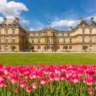 I Giardini di Lussemburgo a Parigi incantano con tulipani colorati che adornano viali curati e fontane eleganti, mentre l’imponente palazzo regala un’atmosfera regale e romantica.