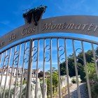Le Vigne du Clos Montmartre, vigneto storico ai piedi della collina, regala filari ordinati e grappoli maturi. Un'oasi verde urbana che unisce natura, storia e panorama unico.