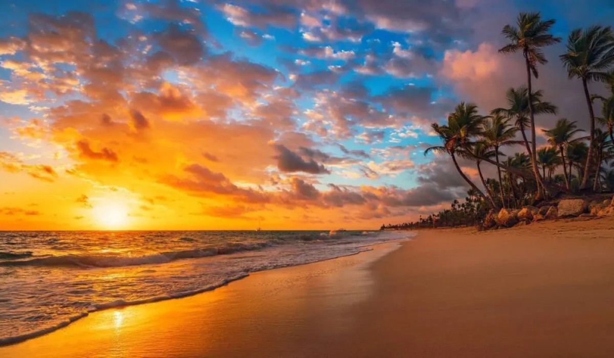 Playa Palmera Beach Resort - Immagine 2