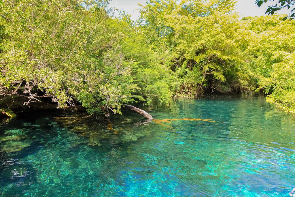 Riserva Ecologica Ojos Indigenas Punta Cana Repubblica Dominicana