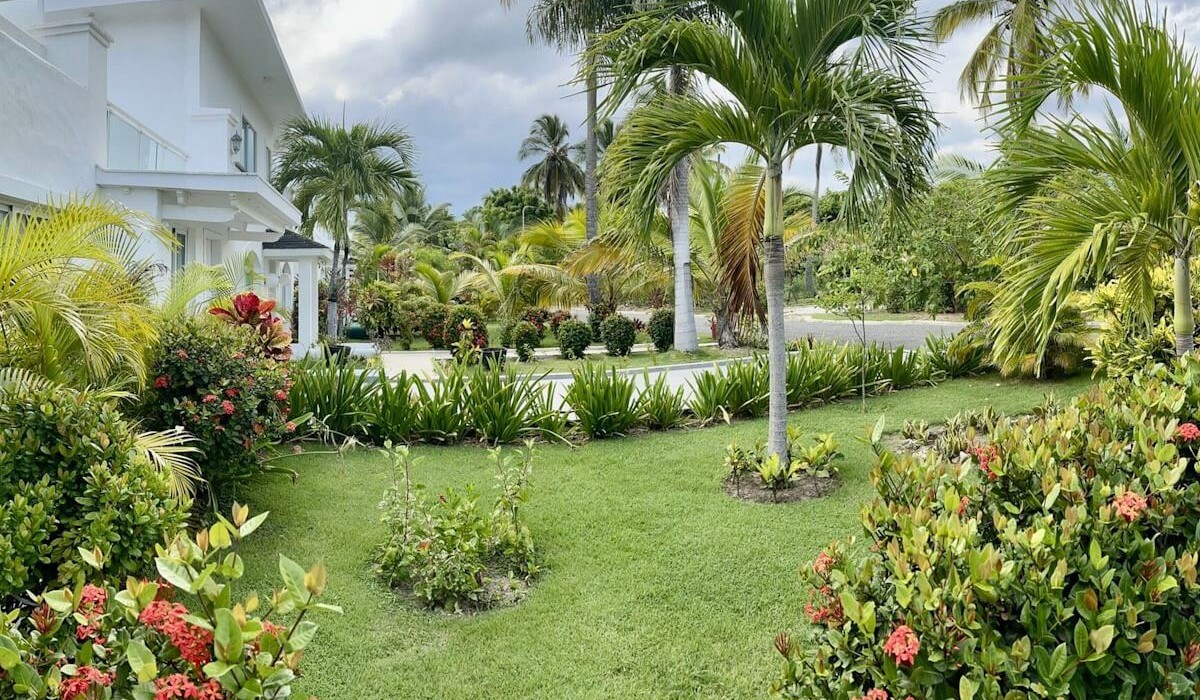 Playa Palmera Beach Resort - Immagine 10