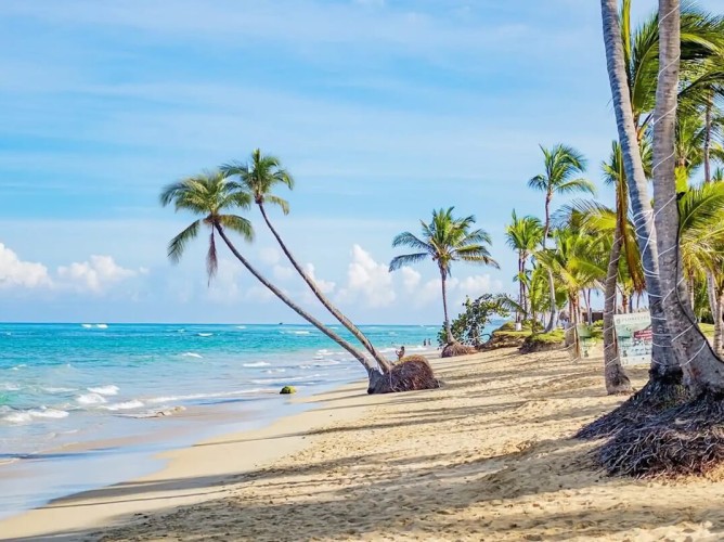 Playa Palmera Beach Resort - Immagine 4