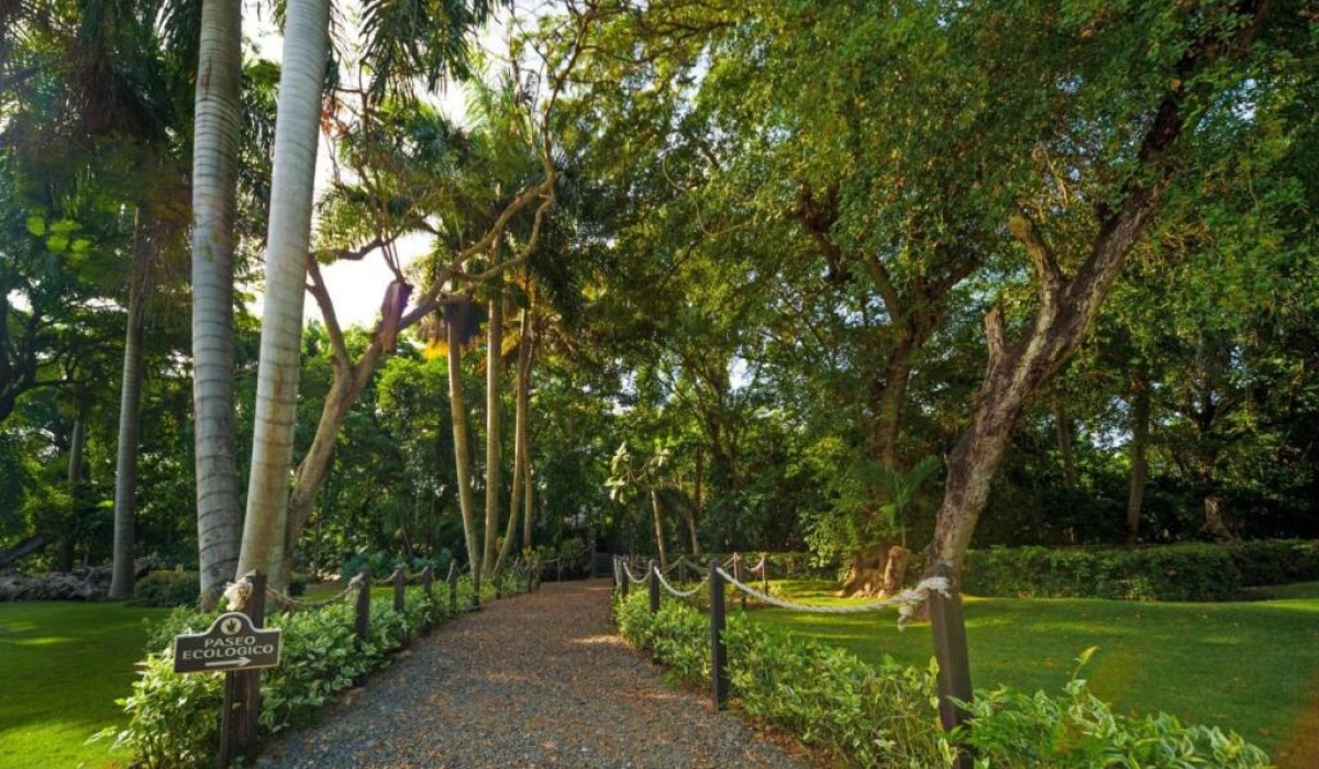 Grand Bavaro Princess - Immagine 6