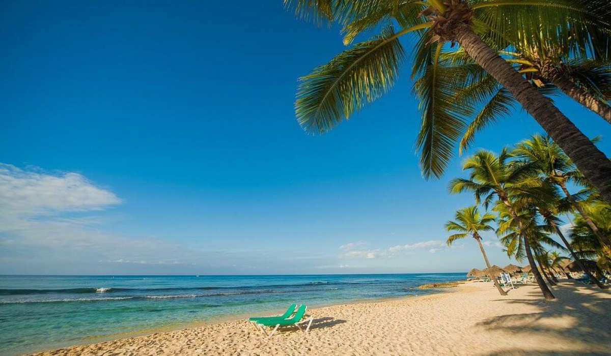 Viva Dominicus Beach by Wyndham, A Trademark All Inclusive - Immagine 5