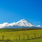 Il maestoso vulcano Cotopaxi, con la sua cima innevata, svetta sull’Ecuador tra campi verdi e paesaggi andini, offrendo uno degli scenari naturali più iconici.