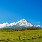 Il maestoso vulcano Cotopaxi, con la sua cima innevata, svetta sull’Ecuador tra campi verdi e paesaggi andini, offrendo uno degli scenari naturali più iconici.