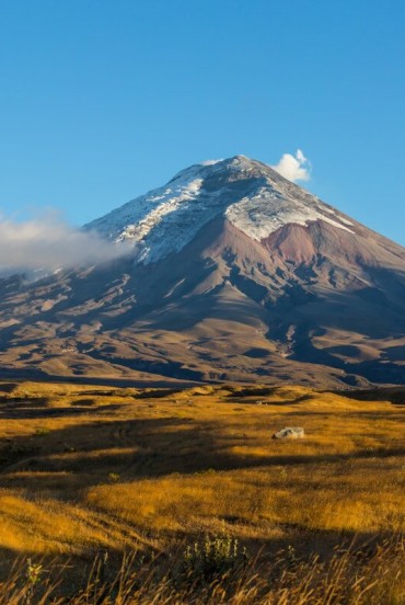 Il vulcano Cotopaxi, tra i più alti del mondo ancora attivi, domina le Ande con la sua cima innevata e paesaggi spettacolari, simbolo naturale dell’Ecuador.