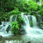 Le spettacolari cascate di Archidona, nel cuore della foresta amazzonica ecuadoriana, incantano con acque cristalline, vegetazione lussureggiante e natura incontaminata.