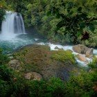 Una cascata in Ecuador scroscia tra la fitta vegetazione del Parco Nazionale Sumaco, dove il fiume dalle acque bianche attraversa la foresta tropicale sudamericana.
