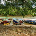 Escursioni in canoa lungo il Rio Misahuallí e il fiume Nepo nella provincia di Napo conosciuta anche con il nome di oriente dell'Ecuador.