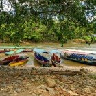 Escursioni in canoa lungo il Rio Misahuallí e il fiume Nepo nella provincia di Napo conosciuta anche con il nome di oriente dell'Ecuador.