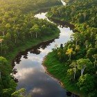 Il fiume Napo scorre vicino a Tena, nella provincia di Napo, tra foresta amazzonica, villaggi indigeni e fauna selvaggia, offrendo scenari unici e autentiche tradizioni locali.