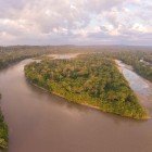 Veduta aerea di un’isola a forma di cuore sul Rio Napo, nell’Amazzonia ecuadoriana all’alba. La luce del primo mattino illumina le cime degli alberi.