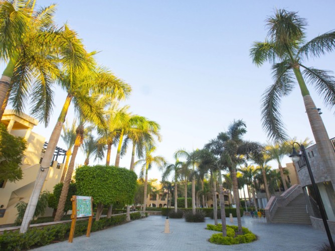 Stella Gardens Resort & Spa - Makadi Bay - All inclusive - Immagine 10