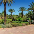 I Giardini Menara a Marrakech incantano con piante rigogliose, ulivi secolari e il padiglione storico sullo sfondo del bacino.