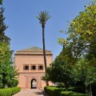 Passeggiando tra ulivi e canali irrigui si scopre il padiglione moresco dei Giardini Menara, armonia perfetta tra natura e architettura.