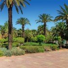 Distese verdi, ulivi secolari e palmeti circondano i Giardini Menara, oasi storica e agricola nel cuore di Marrakech dal fascino senza tempo.