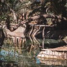 Le acque blu di Meski sorgono vicino a antichi villaggi berberi e vie carovaniere, custodendo storia, tradizioni e la vita nel deserto marocchino.