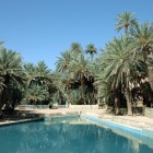 Le acque blu di Meski, tra palme e oasi nel deserto del Marocco, offrono un paesaggio unico, fresco e incontaminato immerso nella natura.