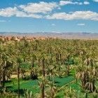 La Valle del Draa si estende tra palmeti e oasi, fiancheggiata da villaggi tradizionali e dune dorate, offrendo paesaggi unici del Marocco.