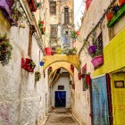 Un vicolo del Mellah a Fès incanta con muri colorati e piantine appese, tra atmosfera autentica e scorci fotografici unici.