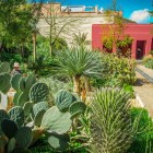 Nel Secret Garden di Marrakech, piante rigogliose e varietà di piante grasse creano un’oasi verde e armoniosa nella Medina storica.