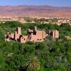 Erfoud → Tinghir → Gole del Todra → Ouarzazate