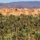 Nkob si distingue per le sue case in fango che si fondono con il paesaggio, immerse tra palmeti verdi e le montagne aride del Jbel Saghro.