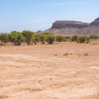 I dintorni di Tazzarine offrono un paesaggio desertico di dune, vallate rocciose e palmeti sparsi, con colori caldi che cambiano al variare della luce del giorno.