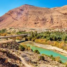 I villaggi della valle di Ziz si adagiano tra palmeti e oasi, con case in terra e stradine che raccontano tradizioni secolari del Marocco.