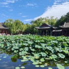 Il Giardino dell’Interesse Armonioso a Suzhou è un capolavoro di paesaggistica cinese, con laghetti, padiglioni e sentieri che evocano calma e bellezza.