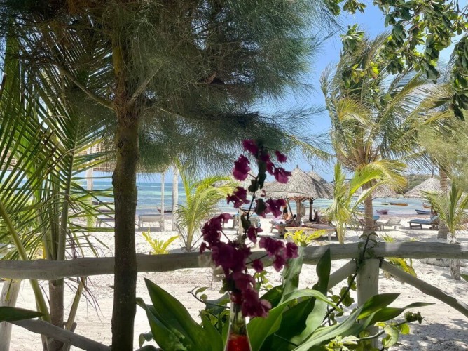 Simba House Watamu - Immagine 5
