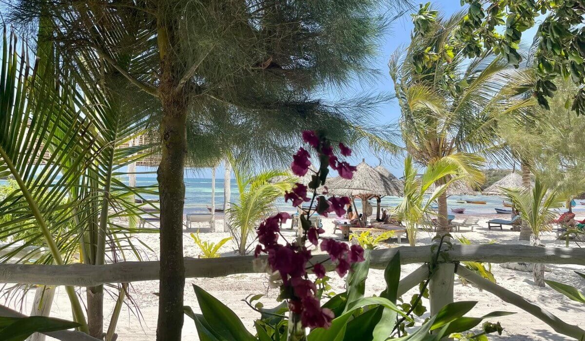 Simba House Watamu - Immagine 5